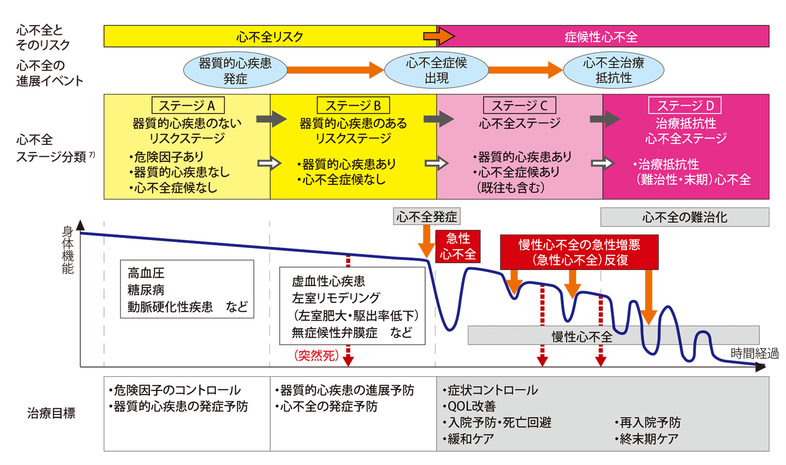 循環動態攻略A to Z 急性心不全Case Live! | 朔 啓太, 奥村 貴裕