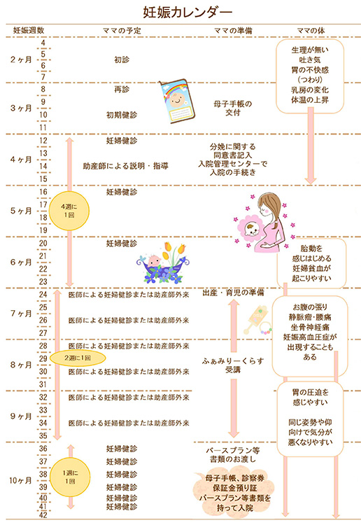 妊娠カレンダー