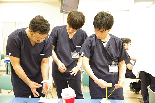 縫合実習