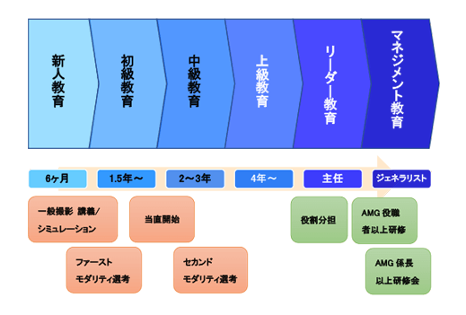 キャリアパス