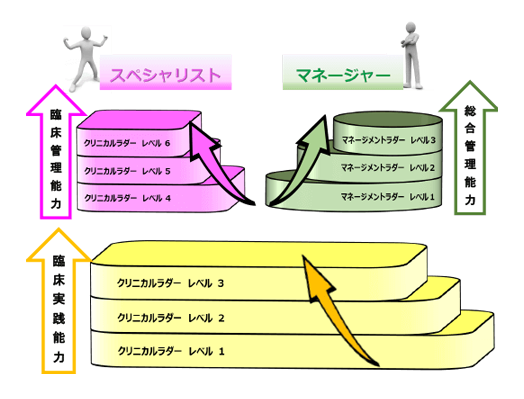 キャリアラダー