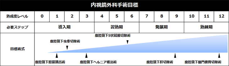 内視鏡外科手術目標